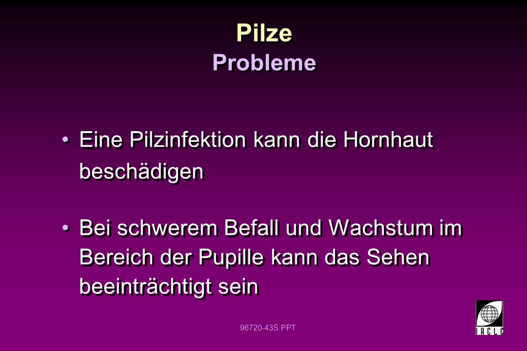 Die Rezensionen der Stimulatoren der Potenz
